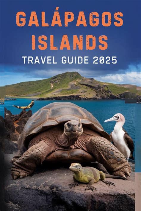 Galápagos Islands travel guide 2025: Discover Amazing Wildlife, Explore ...