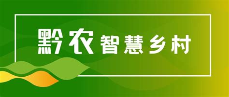 贵州农信个人和企业网银在WIN11系统下无法正常使用的解决方案 | 开心电脑网