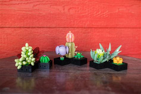 LEGO Build n Sip at Taves Estate Cidery, 333 Gladwin Rd, Abbotsford, BC ...