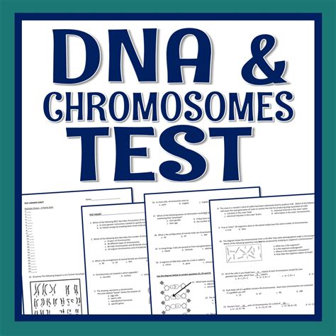Image result for DNA Test Example