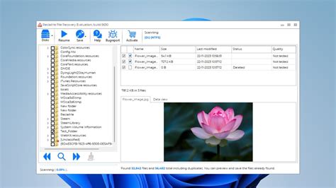 ReclaiMe File Recovery 的图像结果