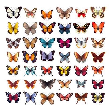 Premium Photo | A set of different types of butterflies