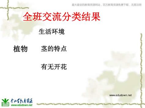 举例 的图像结果