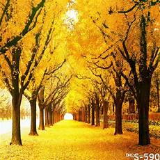 Tree Photography Backdrop by 2019 5x7ft Vinyl Autumn Fall Yellow Tree Photography Tree Photography Backdrop