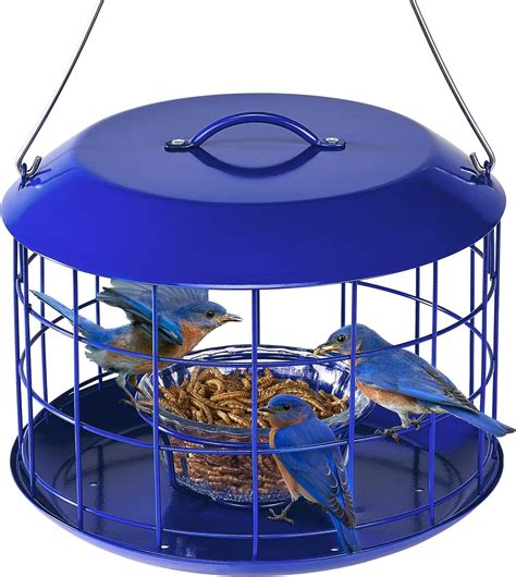 Amazon.com : Kingsyard Bluebird Feeders for Outdoors Hanging, All Metal ...