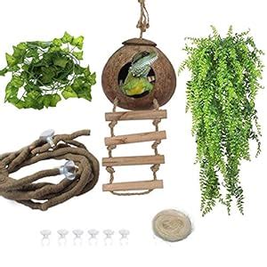 kathson Lizard Coco Den with Ladder, Gecko Coconut Husk Hut with Jungle ...