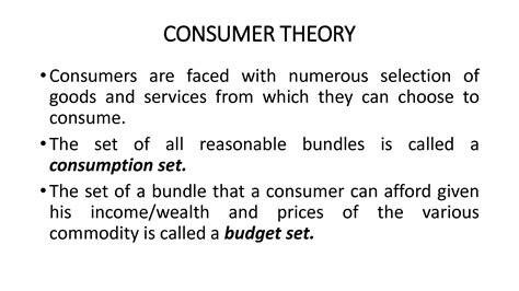 Consumer Behavior Theory 的图像结果