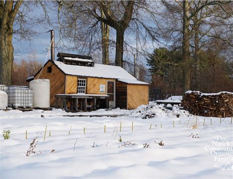 Maple Sugaring Tours (in Japanese), 117 Eliot St, Natick, MA, United ...
