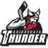 Working at Adirondack Thunder | Glassdoor