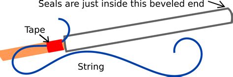 Image result for DIY PVC Pop Gun