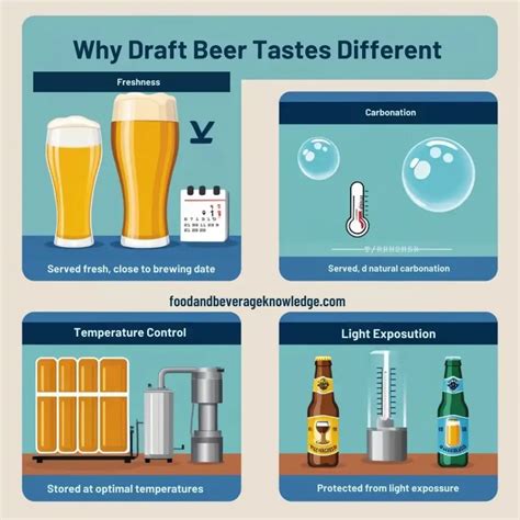 The Ultimate Guide To Draft & Draught Beer: Everything You Need To Know - Food And Beverage ...