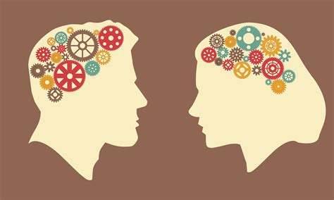 Stanford Medicine study identifies distinct brain organization patterns ...