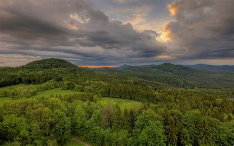 Nature JPG-Format 的图像结果