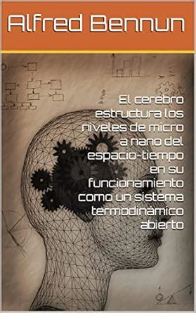 El cerebro estructura los niveles de micro a nano del espacio-tiempo en ...