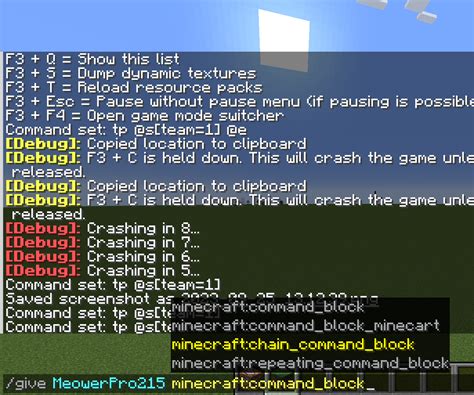 Image result for Frozen Minecraft Tutorial