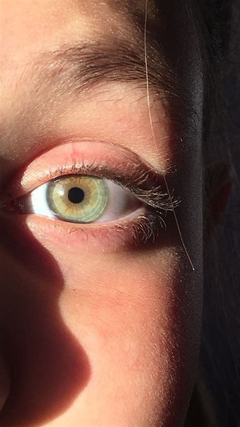 Pin by Pablo Torres Sánchez on Eyes | Green eyes, Pretty eyes, Makeup ...