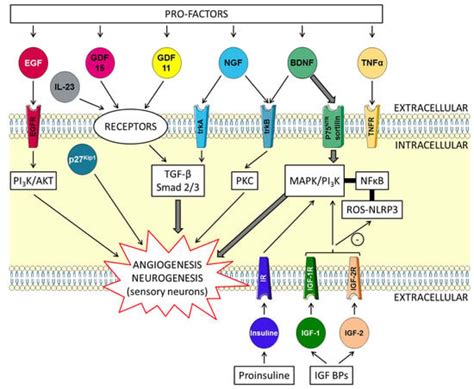 IJMS | Special Issue : Skin Epidermis and Barrier Function