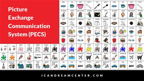 PECS Communication Examples 的图像结果