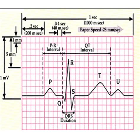 Image result for OS Microprocessor and Microcontroller Assembly Flowchart