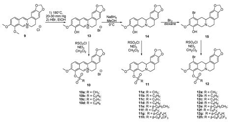 The First Berberine-Based Inhibitors of Tyrosyl-DNA Phosphodiesterase 1 ...
