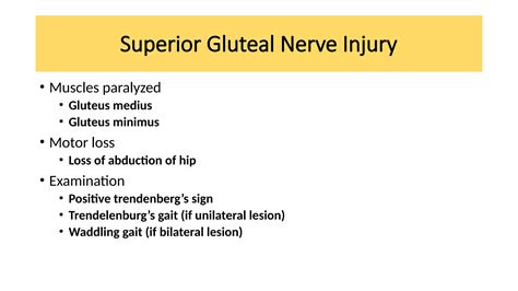 Superior Gluteal Nerve Injury and innervation | PPTX