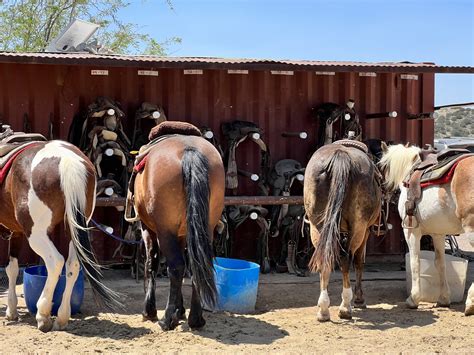 Sedona Horseback Trail Rides | Horse Riding Arizona