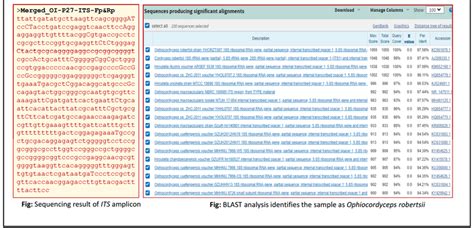 Image result for Forensic Botany DNA Barcoding