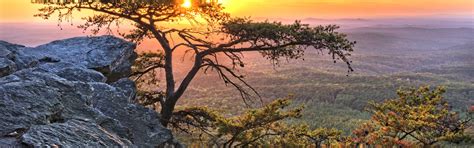 Holiday Accommodation & Lettings in Alabama from 5.077 ₹ | HomeToGo