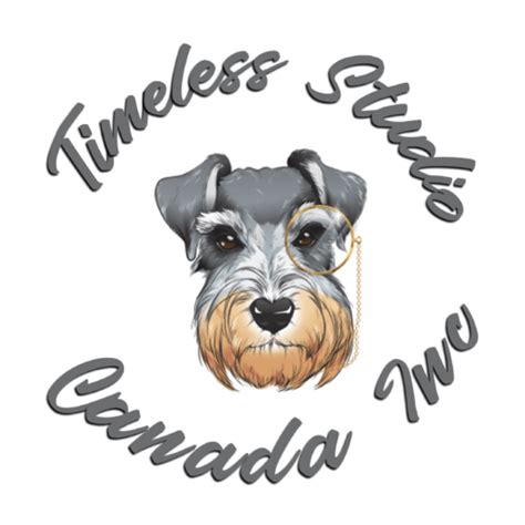 Image result for Timeless Studio Logo