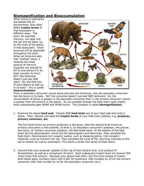 Biomagnification And Bioaccumulation