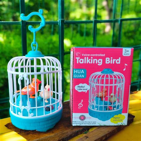 Talking Bird Toy – Voice Repeat & Singing Fun for Kids | DreaMee