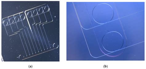 Photonic Label-Free Biosensors for Fast and Multiplex Detection of ...