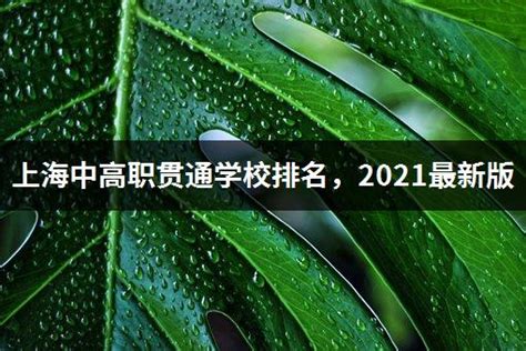 上海中高职贯通学校排名，2021最新版 - 高职高考网