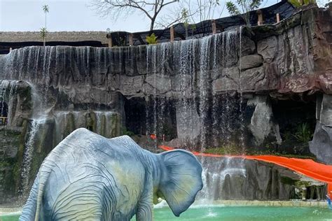 2025 Hacienda Napoles - Theme park (Medellin) - with Reviews & Photos