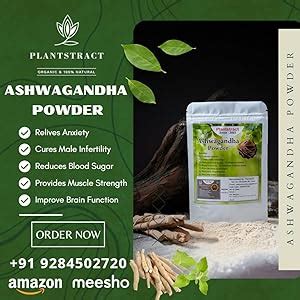 Organic Immunity Enhancer Plantstract Ashwagandha Powder Ayurvedic Pack ...