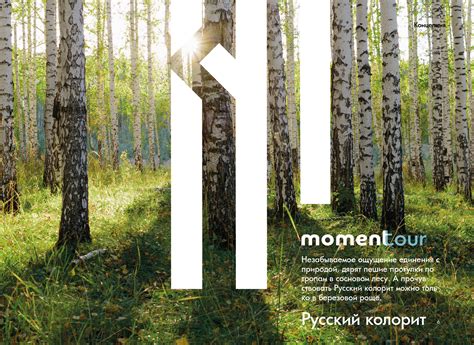 Брендбук туристической компании «Momentour»