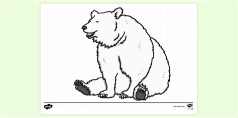 Bear Colouring Page | Colouring Sheets