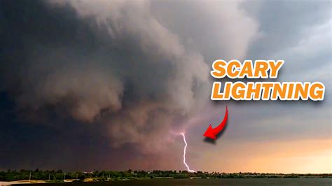 Creepy and Scary Nature Clips