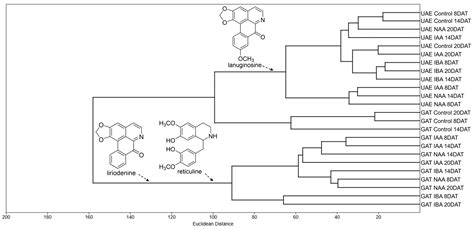 Effect of Auxins on the Accumulation of Alkaloids in Ungrafted Annona ...