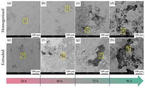 Corrosion Behavior of Homogenized and Extruded 1100 Aluminum Alloy in ...
