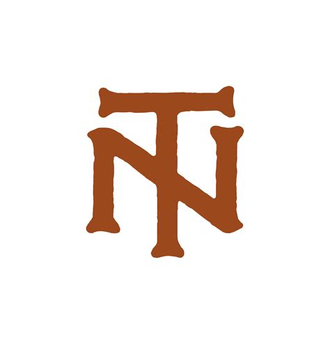 Native Tongues Logo