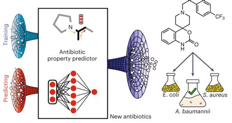 AI discovers new class of antibiotics to kill drug-resistant bacteria | New Scientist