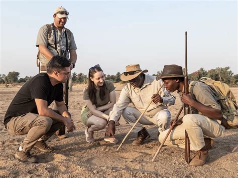 Eco Training Programs 的图像结果