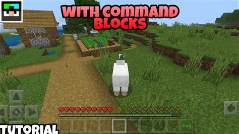 Command to Be Animal Minecraft Java 的图像结果