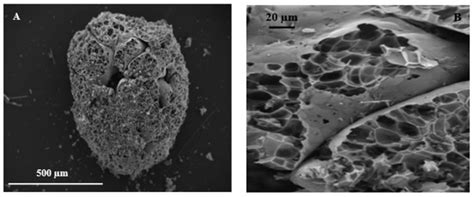 Lightweight Cement Conglomerates Based on End-of-Life Tire Rubber ...