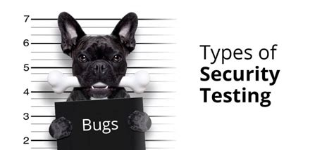 Image result for Security Testing Types
