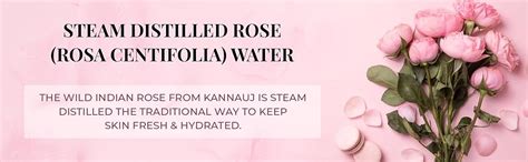 Just Herbs Ayurvedic Gulab Jal/Rose Water Spray Facial Mist Toner For ...