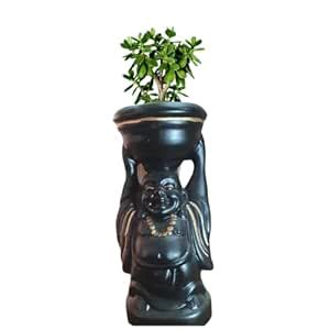 SHAVI DE - Laughing Buddha Ceramic Pot for Indoor Plants, Planters ...