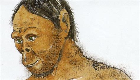 Image result for Java Man Found