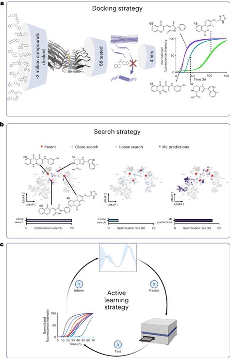 Discovery of potent inhibitors of α-synuclein aggregation using structure-based iterative learning -